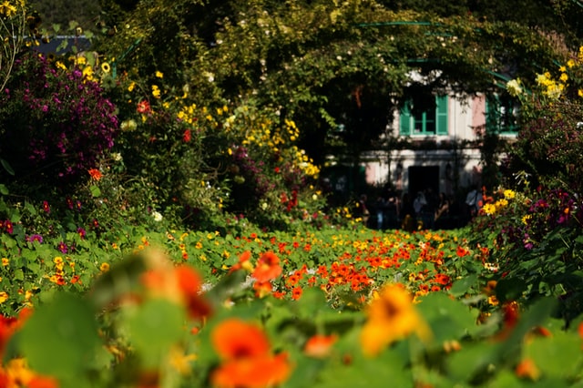 jardines-desbrozado-madrid